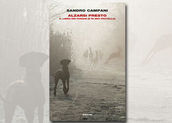 SANDRO CAMPANI presenta ALZARSI PRESTO ed Einaudi