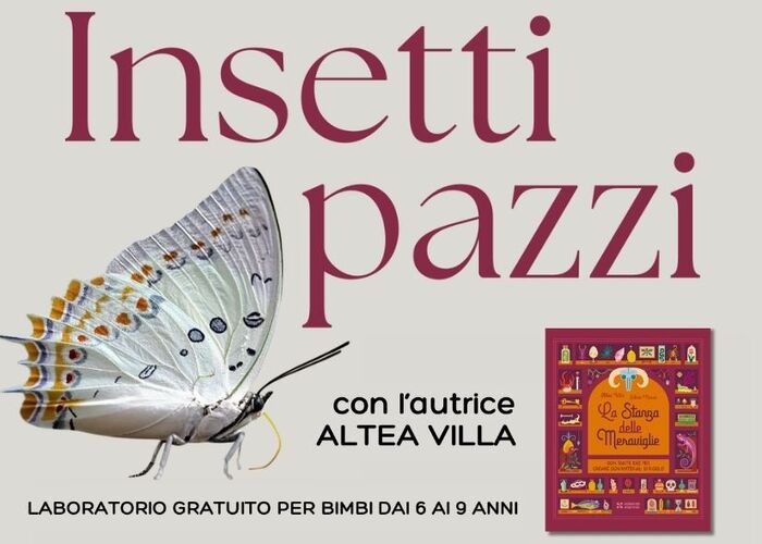 LABORATORIO CREATIVO