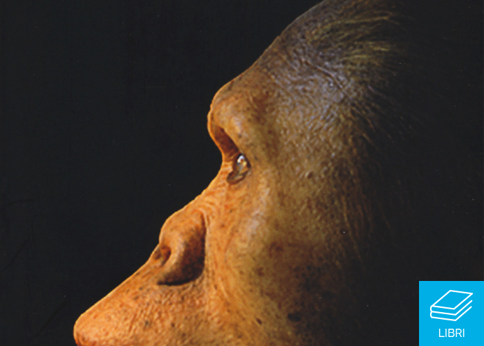 Ultime notizie sull'evoluzione umana